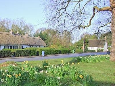 Childe Of Hale Cottage - 27896 Dış mekan fotoğraf